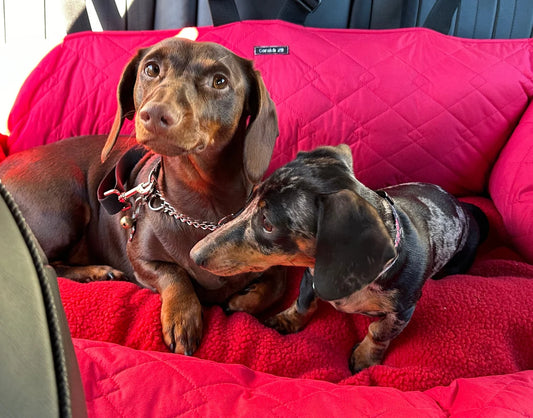 Waterproof Quilted Dog Car Seat: Sherpa Fleece Cushion, Adjustable Straps.