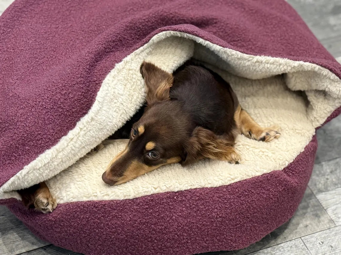 Boucle Dachshund Bed Cave: Snuggle Dog Burrow Bed personalisable.