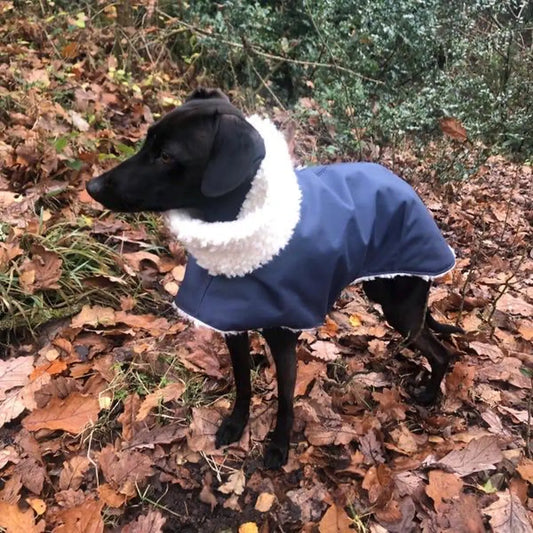 Waterproof Italian Greyhound Coat: Sherpa Fleece Lined Iggy Coat.