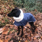 Waterproof Italian Greyhound Coat: Sherpa Fleece Lined Iggy Coat.