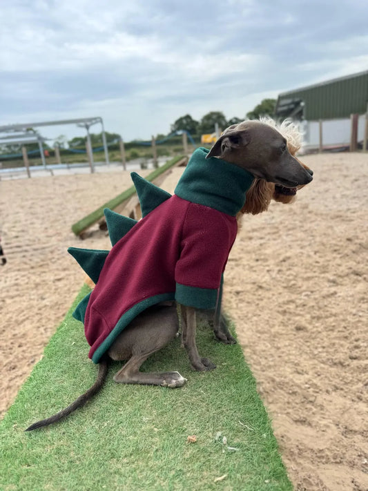 Italian Greyhound Fleece Jumper: Dino Leg, Water & Mud Repellent.