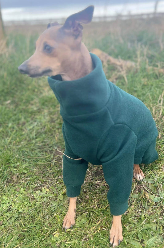 Italian Greyhound Fleece Onesie: Water Repellent Dog Jumpsuit.