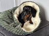 Jumbo cord dog snuggle sack ,Pet snuggle sack, puppy warmer,dachshund snuggle sack ,fleece blanket.
