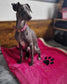 Personalized Paw Print Dog Snuggle Sack: Cuddle Fleece Pet Warmer.
