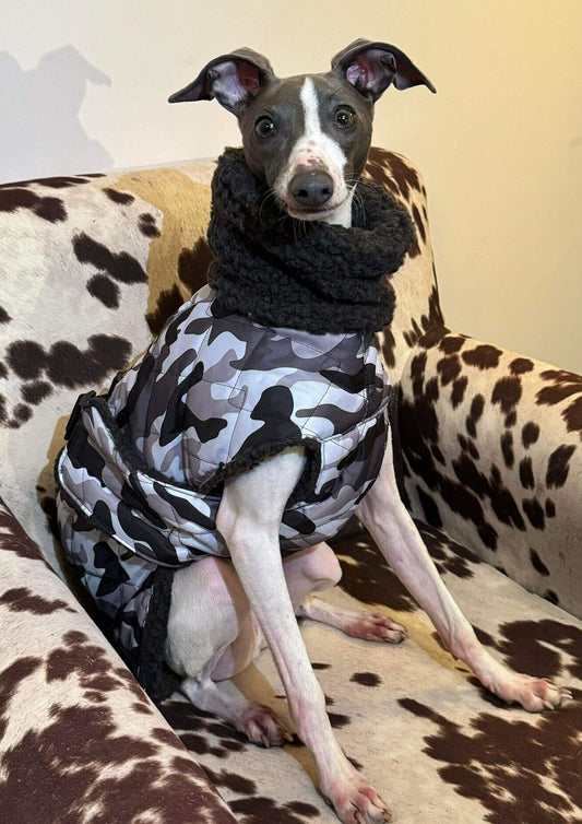 Waterproof Quilted Italian Greyhound Coat: Sherpa Fleece Lined, Chest Covering.