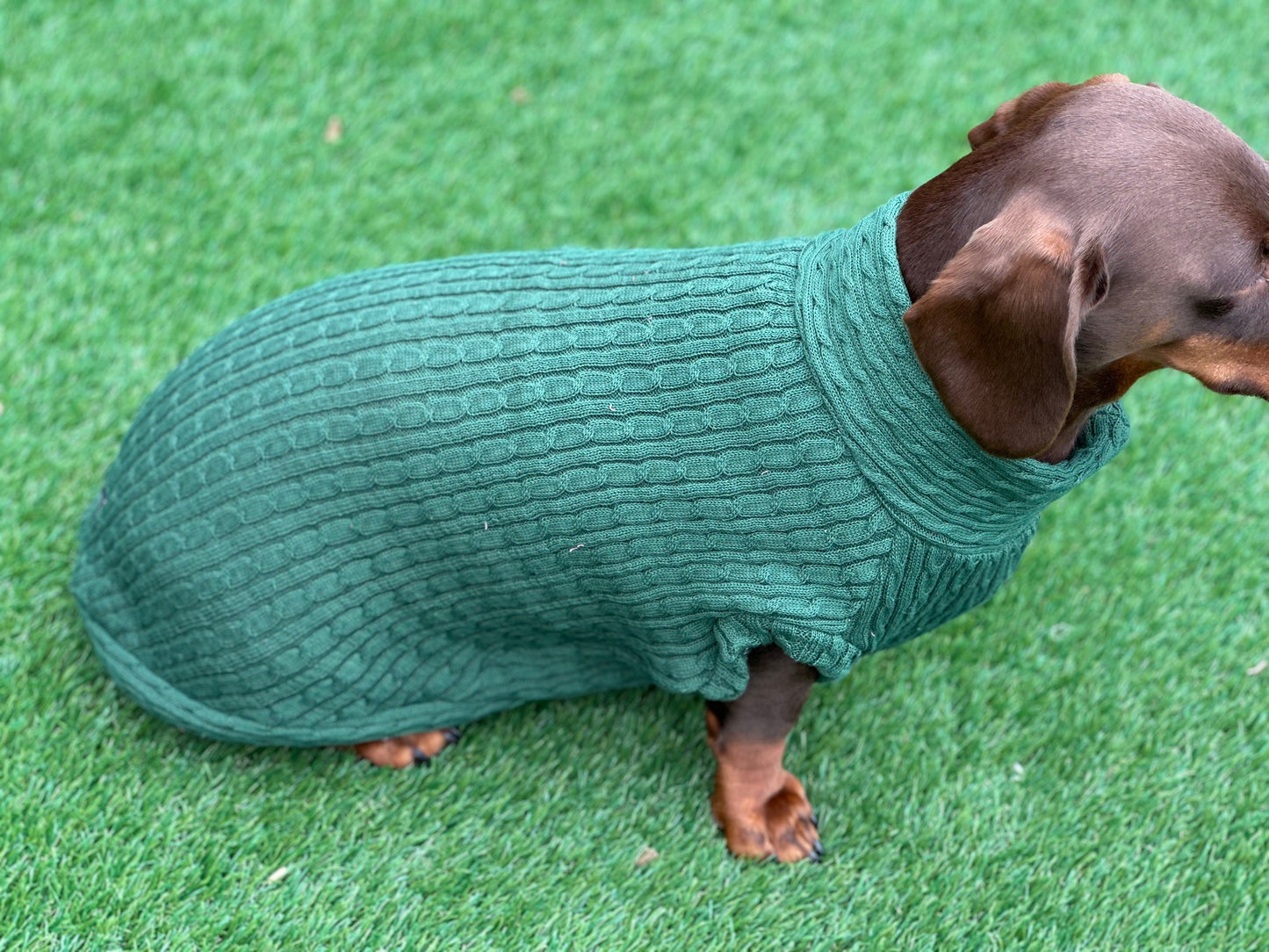 Cable Knit Dachshund Jumper: Soft Jersey Fleece, Cornish K9