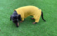 Bamboo Dog Onesie: Anti-Allergy Cooling Jumpsuit, Dachshund Pajamas