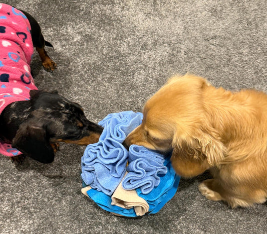Dachshund Snuffle Ball: Fleece Enrichment Toy