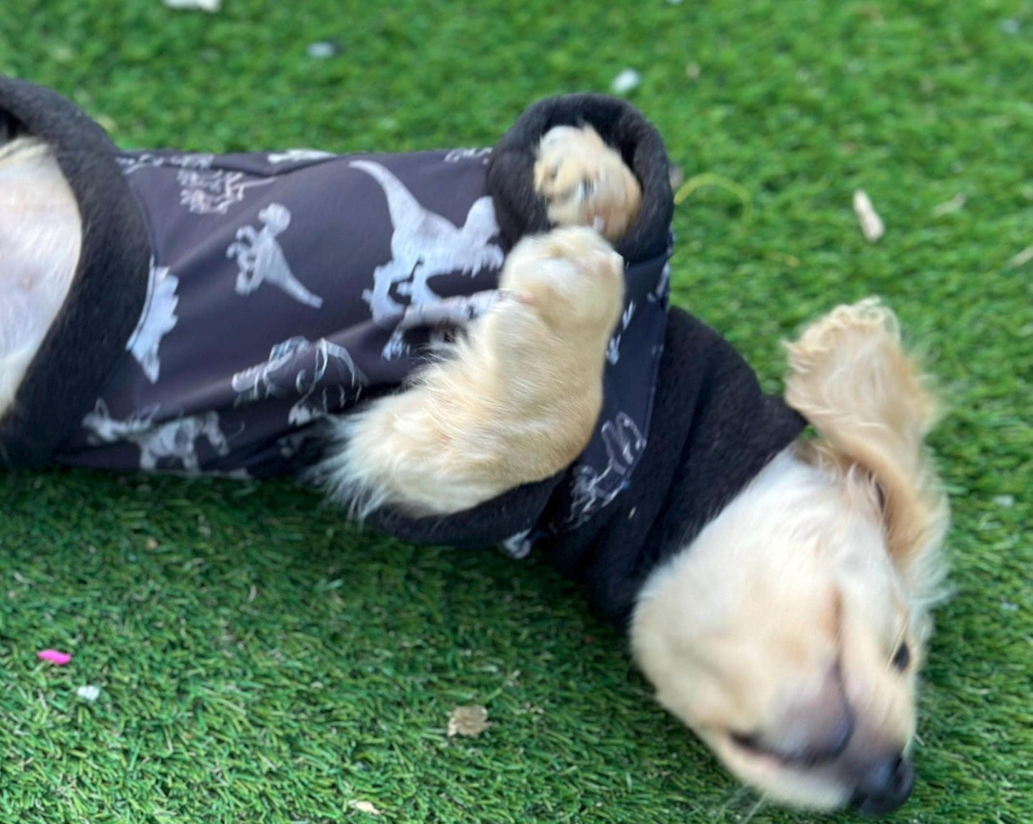 Dachshund  zipped Softshell waterproof  fleece ,dachshund zipped  jumper ,dachshund jacket,water and mud repellent fleece , dachshund fleece