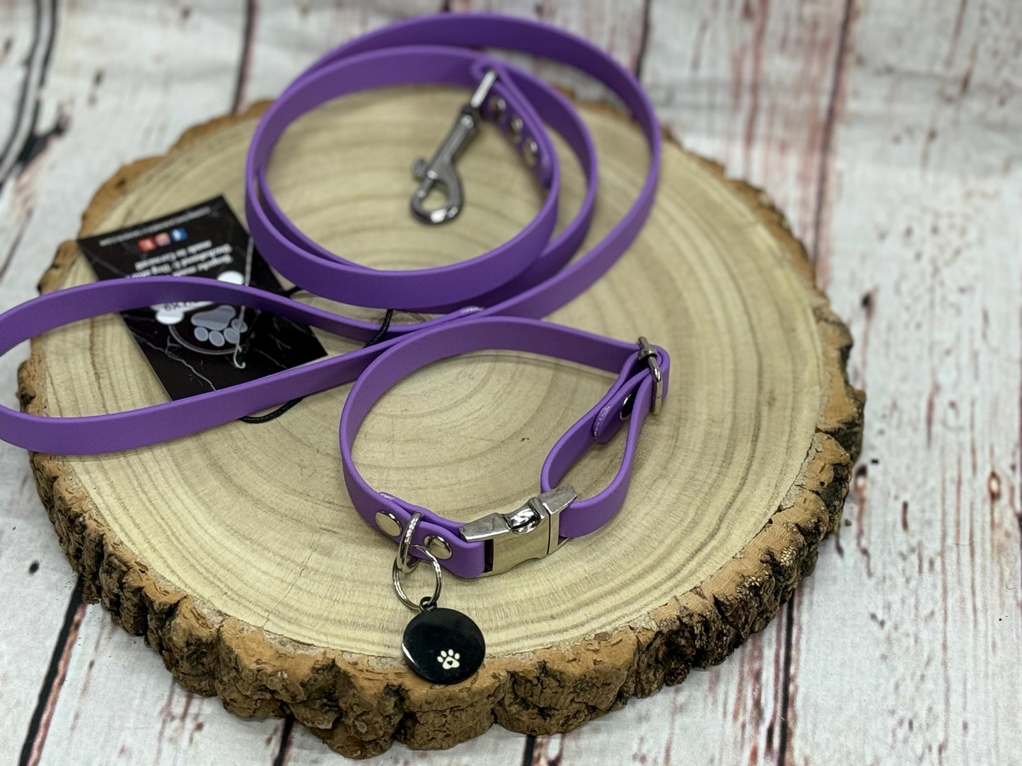Waterproof Biothane Dog Collar & Lead Set: Silver Hardware, Small (11-13 inch neck)