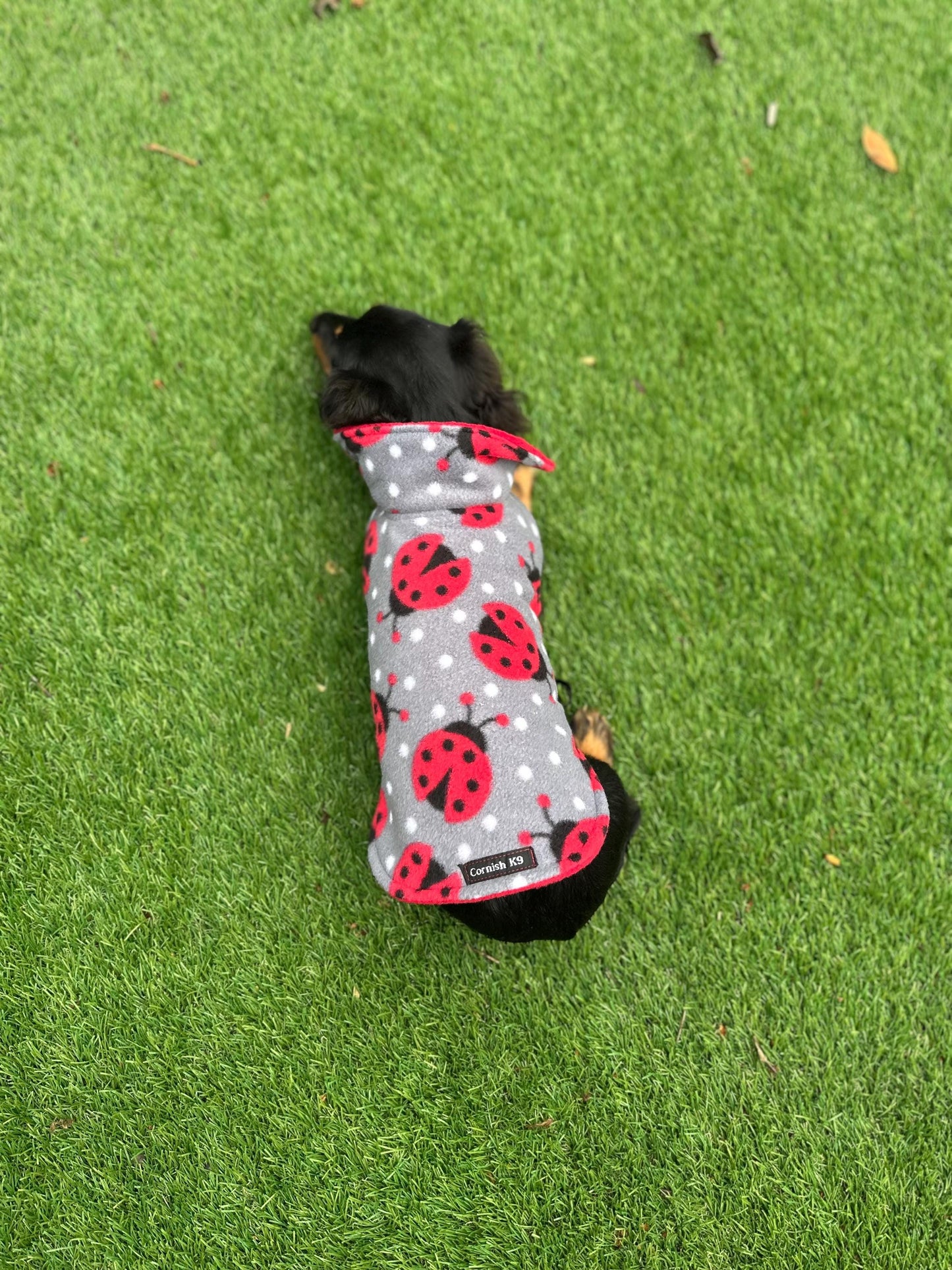 Dachshund Fleece Dog Coat: Double Layered, Harness Hole, Handmade