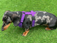 Dachshund Quilted Dog Harness: Padded Fleece Lined, Waterproof, No-Choke