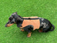 Corduroy Dachshund Harness: Fleece Lined, Adjustable Dog Vest
