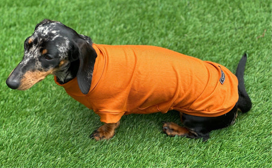 Dachshund Cotton Jersey Dog Jumper: Breathable Cooling Top
