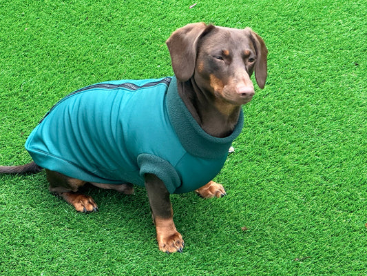 Dachshund Softshell zipped waterproof  jacket ,water repellent  jumper ,step in dog coat,   ,washable dog jacket, Mud Repellent