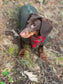 Tartan Dachshund Harness Set: Padded Fleece, No-Choke Design