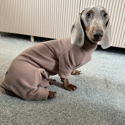 Water Resistant Fleece Dachshund Onesie: Mud Repellent Dog Coat