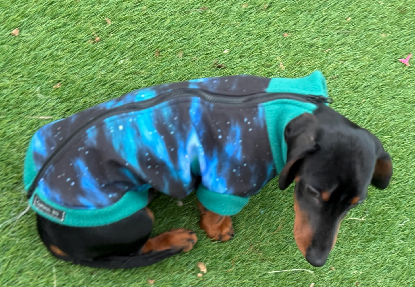 Dachshund  zipped Softshell waterproof  fleece ,dachshund zipped  jumper ,dachshund jacket,water and mud repellent fleece , dachshund fleece