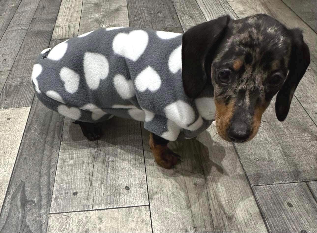 Dachshund Heart Fleece Dog Coat: Water Repellent, Breathable Jumper