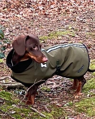 Waterproof Softshell Dog Coat: Fleece Lined, Reflective Trim