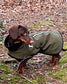 Waterproof Softshell Dog Coat: Fleece Lined, Reflective Trim