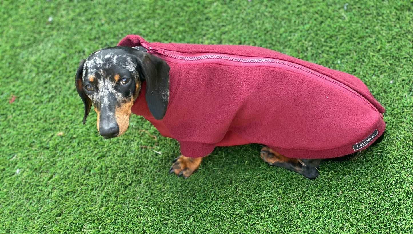 Dachshund zipped  fleece with Softshell waterproof tummy  ,dachshund zipped  jumper ,dachshund jacket,water and mud repellent fleece ,