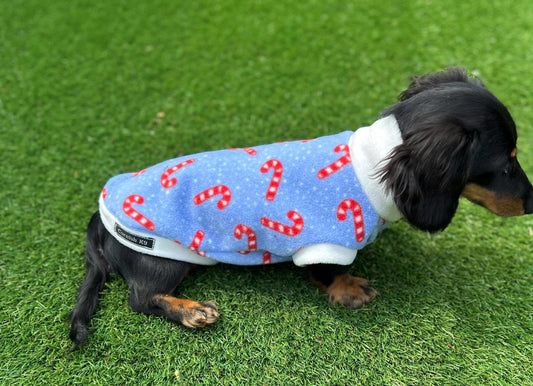 Dachshund Christmas jumper ,dog jumper ,breathable dog jumper, dog jacket,washable dog jumper,Water & Mud Repellent dog suit