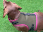 Made-to-Order Dachshund Harness: Army Green Spacer Mesh, No Armpit Rub