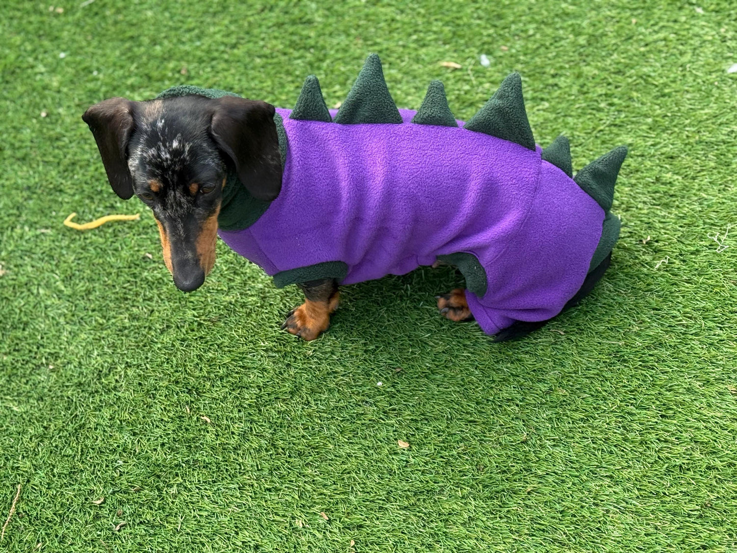 Dachshund Dino Fleece Onesie: Water Repellent Dog Jumpsuit