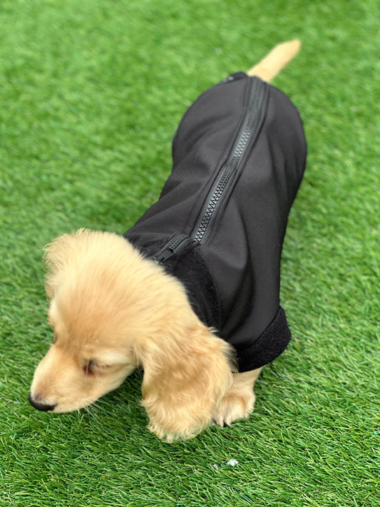 Dachshund Softshell zipped waterproof  jacket ,water repellent  jumper ,step in dog coat,  ,washable dog jacket, Mud Repellent