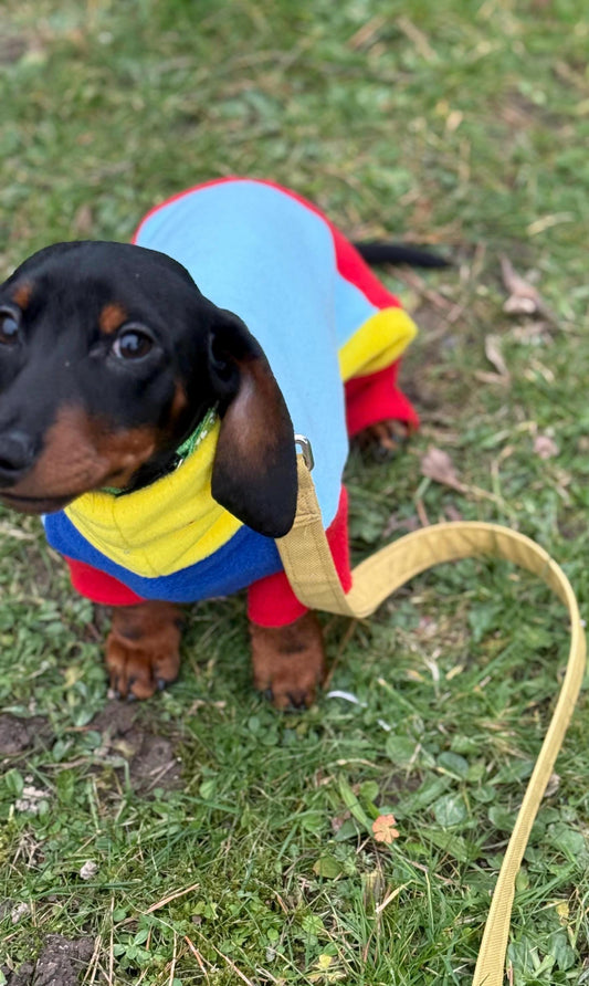 Dachshund  oneise  ,dachshund fleece jumpsuit , dachshund fleece Suit , Miniature dachshund onesie, Water & Mud Repellent dog suit