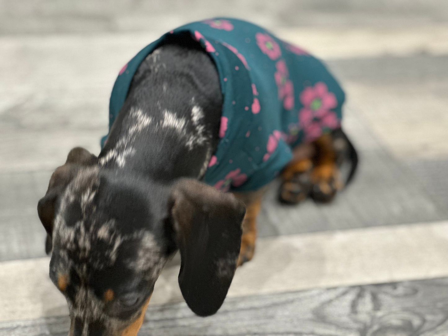 Dachshund Cooling Top: Pink Flowers on Emerald Green Viscose