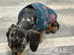 Dachshund Cooling Top: Pink Flowers on Emerald Green Viscose