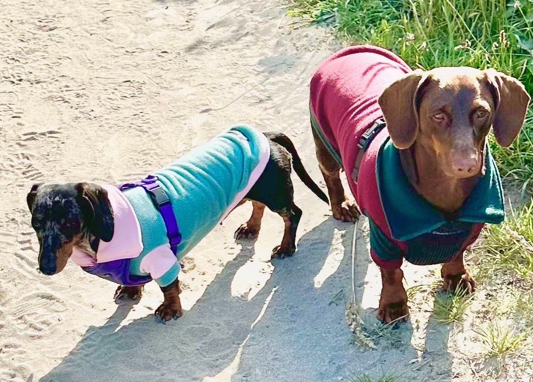 Dachshund  zipped neck  fleece ,dog jumper,dachshund legged jumper ,dachshund jumper , dachshund fleece,dachshund fleece jacket