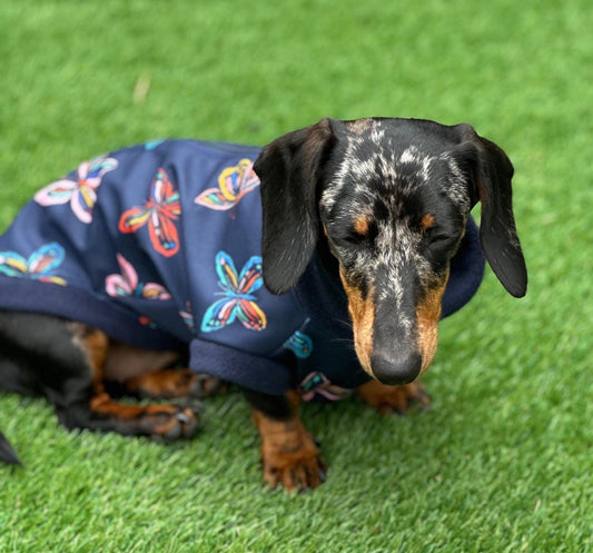 Dachshund zipped Softshell waterproof  fleece ,dachshund zipped  jumper ,dachshund jacket,water and mud repellent fleece , dachshund fleece