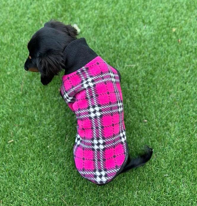 Dachshund Fleece Dog Jumper: Breathable, Water-Resistant, Warm
