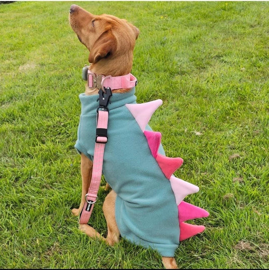 Dino Dog Fleece Jumper: Water Repellent Slip-on Dog Coat