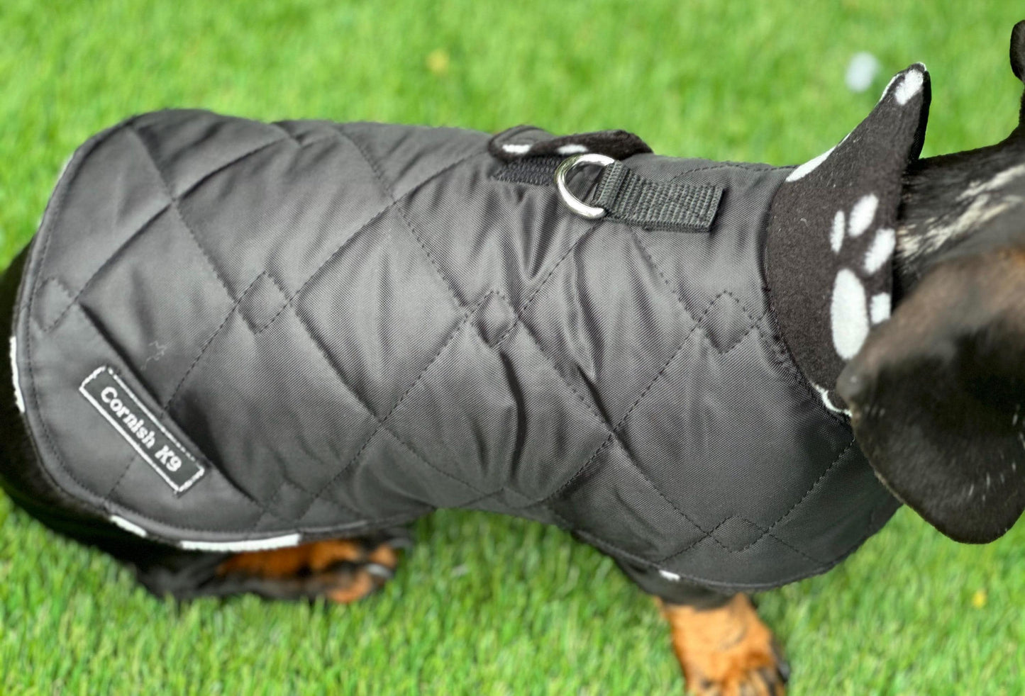 Dachshund Quilted Dog Coat: Water-Resistant Fleece Lined Winter Jacket