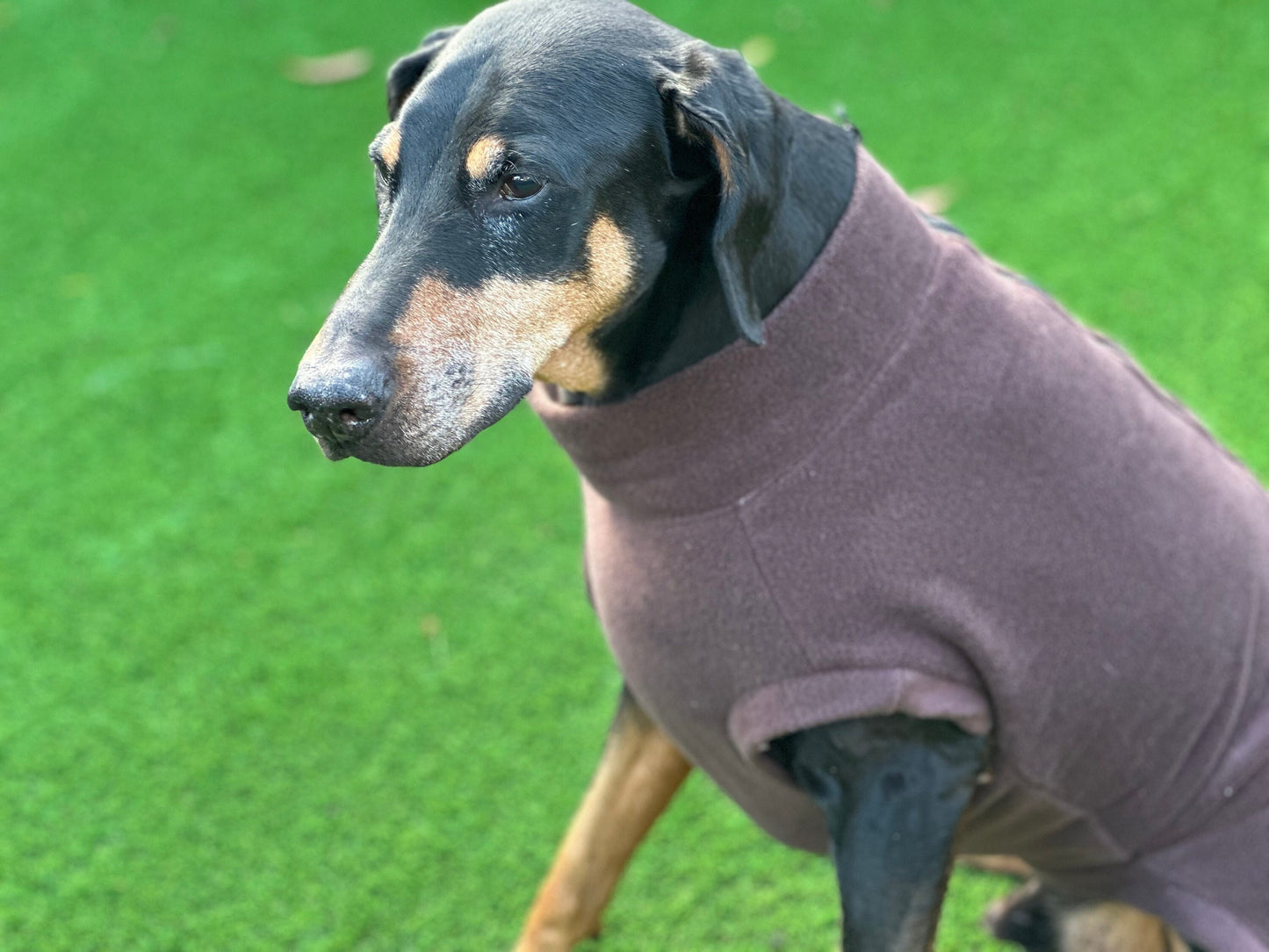 Fleece Dog Jumper: Water & Mud Repellent, Step-In Design