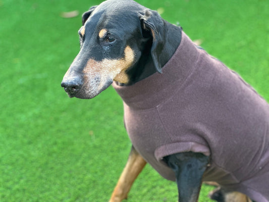 Fleece Dog Jumper: Water & Mud Repellent, Step-In Design