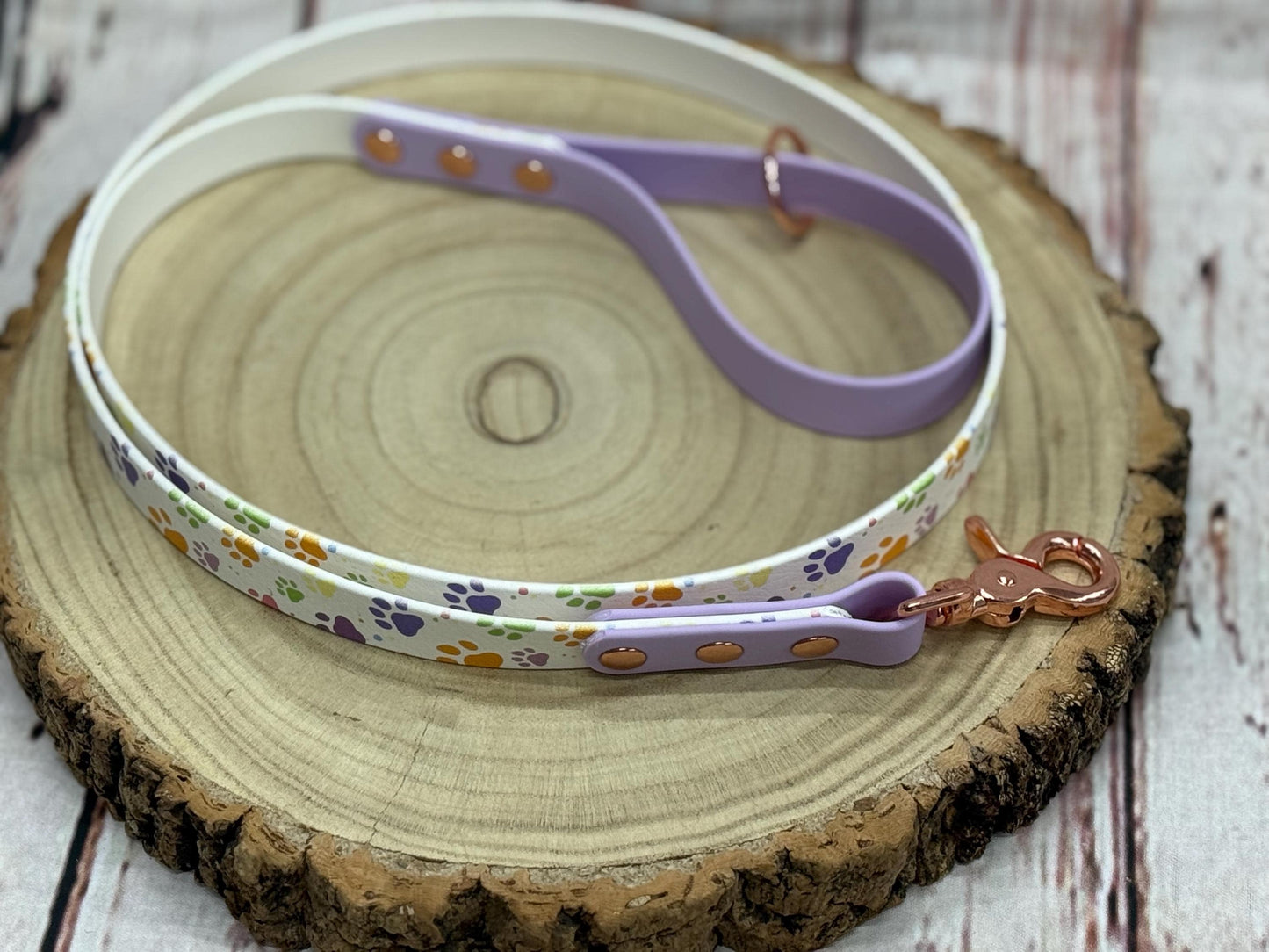 Waterproof Biothane Dog Collar & Lead Set: Rose Gold Hardware