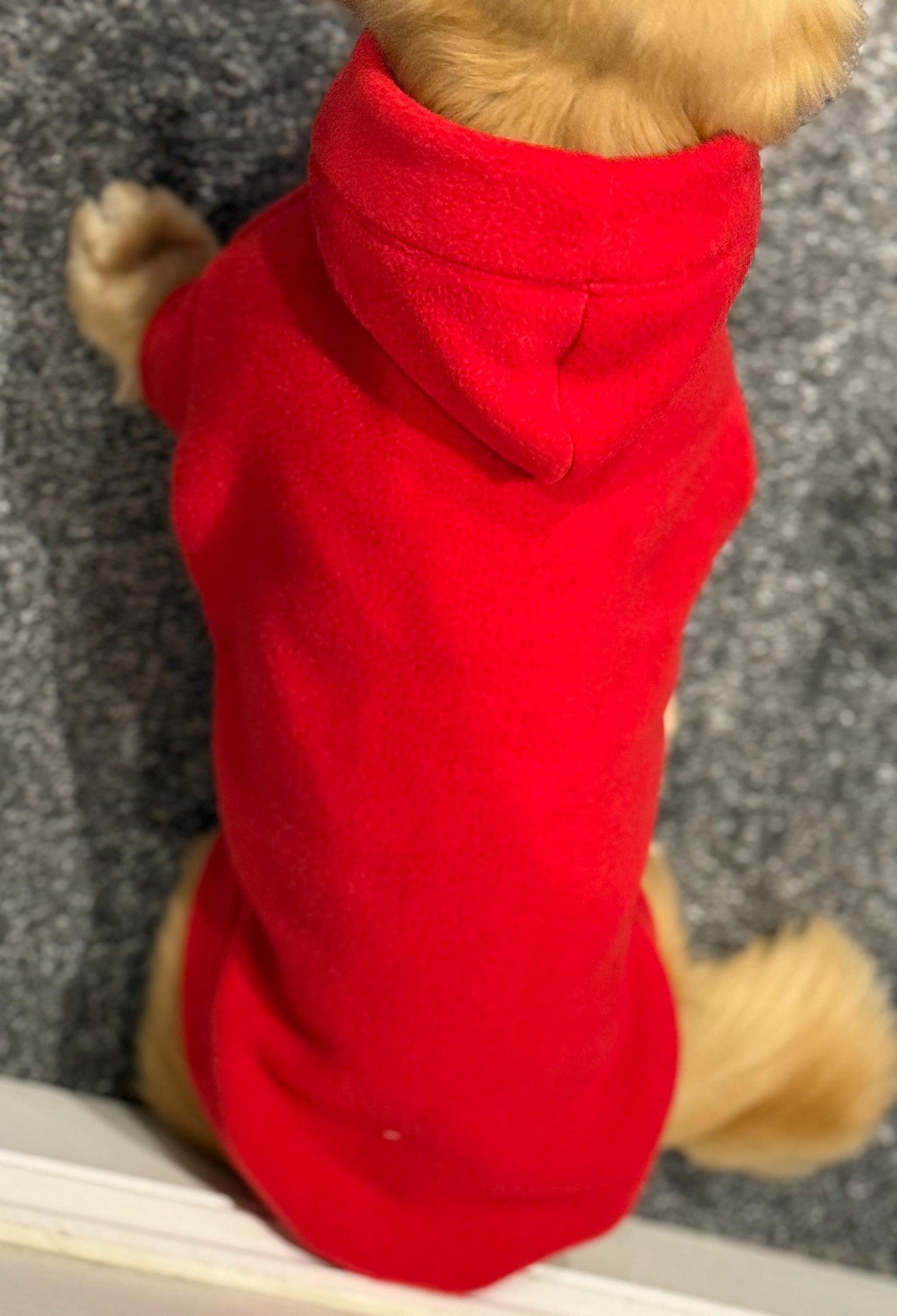 Water & Mud Repellent Dachshund Fleece Hoodie: Front Leg Jumper