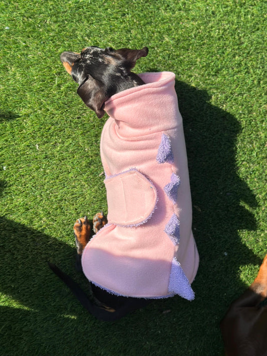 Dachshund Dino Fleece Dog Drying Coat: Absorbent Cotton Terry Lined