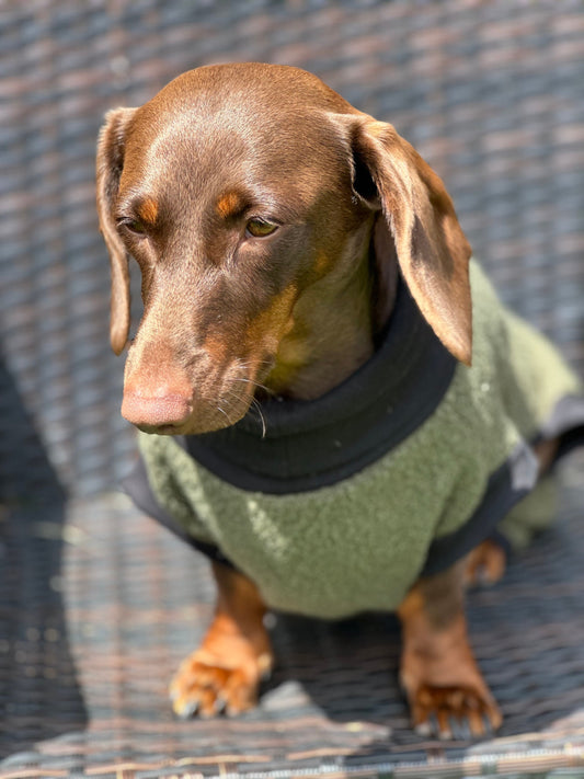 Boucle Fleece Dachshund Onesie: Cozy Small Dog Jumper