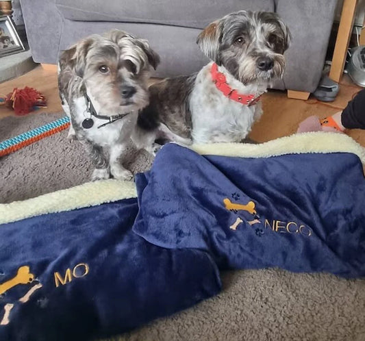 Personalized Dog Snuggle Sack: Cuddle Fleece Pet Warmer.