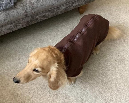 Dachshund Fleece Jumper: Water Repellent Dog Coat