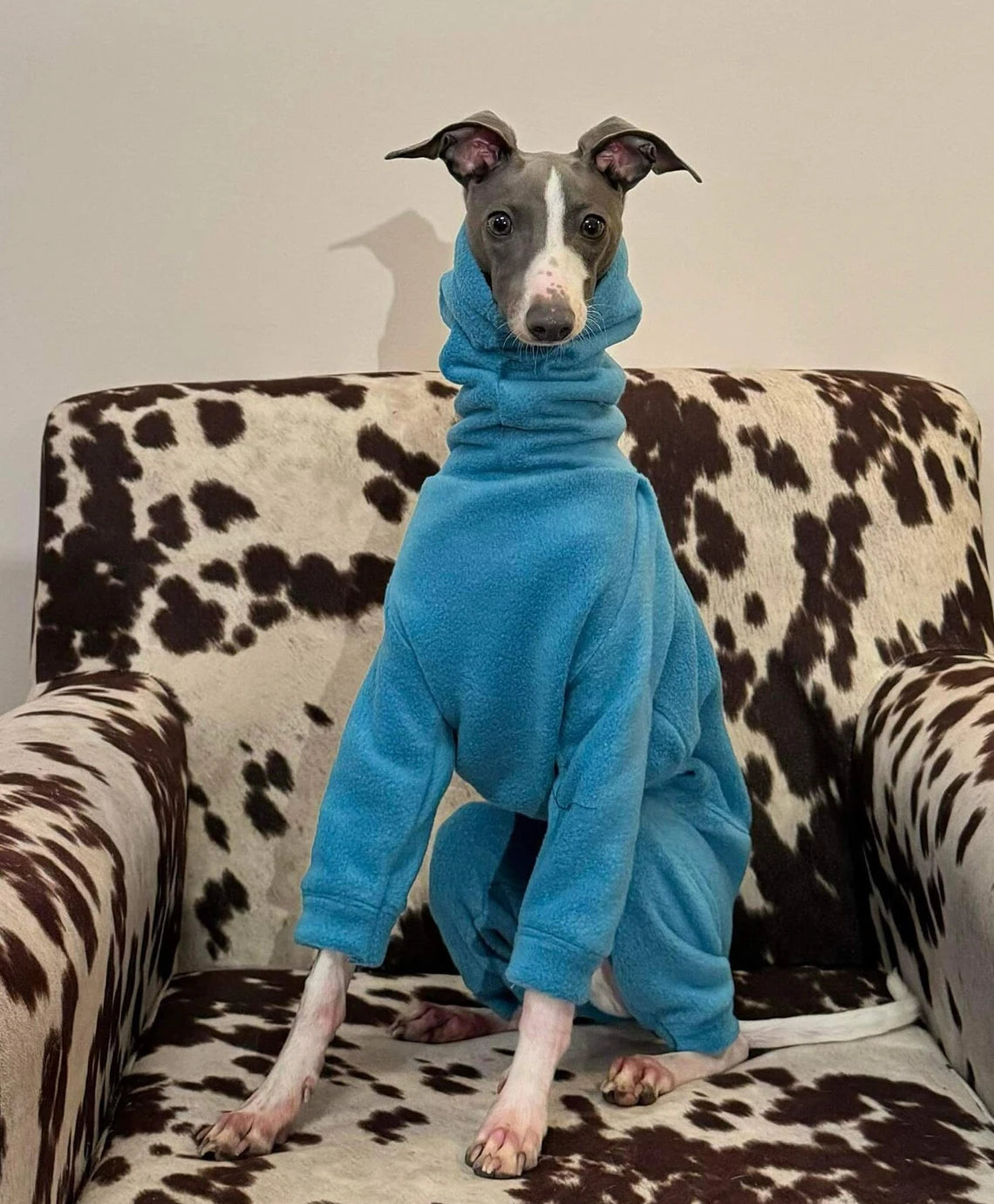 Italian Greyhound Fleece Onesie: Water & Mud Repellent Iggy Jumpsuit.