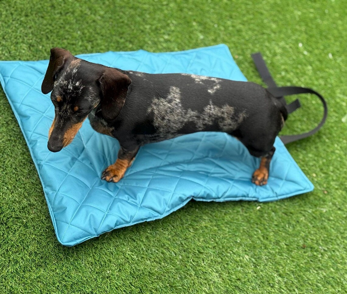 Waterproof Quilted Dog Travel Mat: Roll-Up Picnic Pad