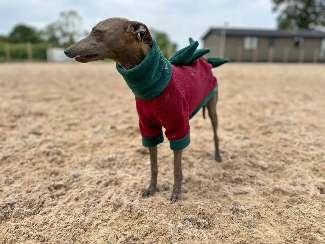 Italian Greyhound Fleece Jumper: Dino Leg, Water & Mud Repellent.