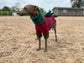 Italian Greyhound Fleece Jumper: Dino Leg, Water & Mud Repellent.